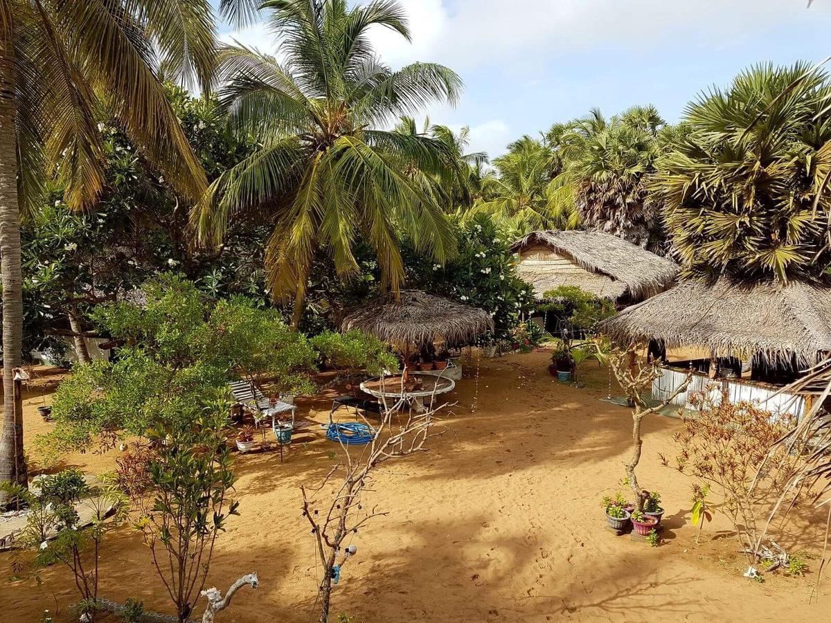 Sun Wind Beach Kalpitiya Kite Resort Exteriér fotografie