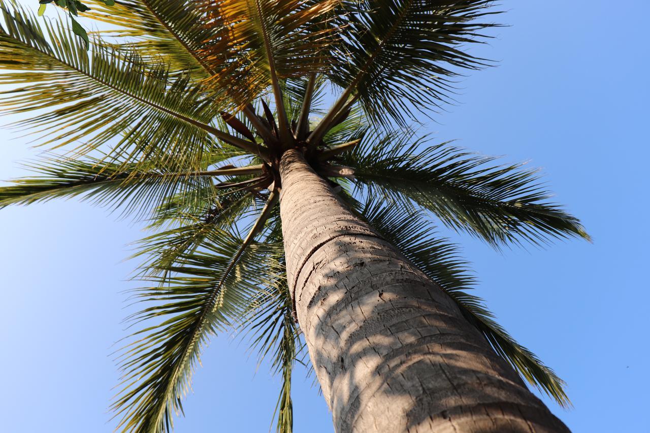 Sun Wind Beach Kalpitiya Kite Resort Exteriér fotografie