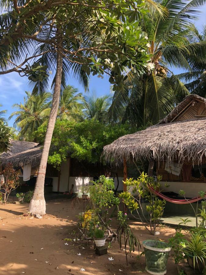 Sun Wind Beach Kalpitiya Kite Resort Exteriér fotografie